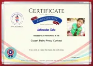 Locked Certificate Preview