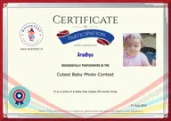 Locked Certificate Preview