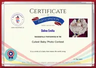 Locked Certificate Preview