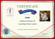 Locked Certificate Preview