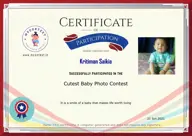 Locked Certificate Preview