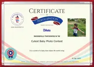 Locked Certificate Preview