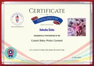 Locked Certificate Preview