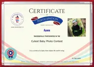 Locked Certificate Preview