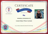 Locked Certificate Preview