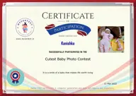 Locked Certificate Preview
