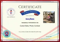 Locked Certificate Preview