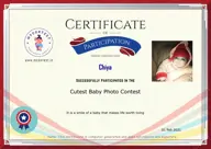 Locked Certificate Preview