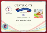 Locked Certificate Preview