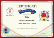 Locked Certificate Preview