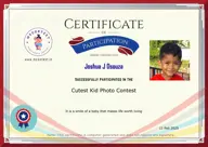 Locked Certificate Preview