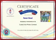 Locked Certificate Preview