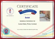 Locked Certificate Preview