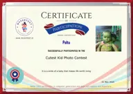 Locked Certificate Preview